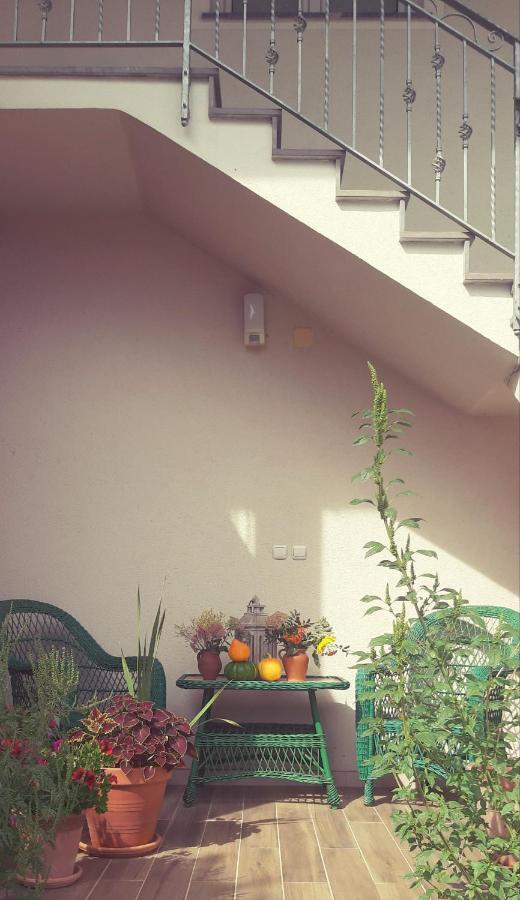 Prenocisca Angelin Hram, Tiny Apartments Markovec Exteriör bild